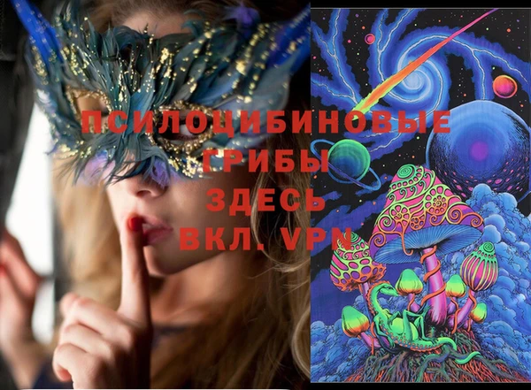 не бодяженный Алексин