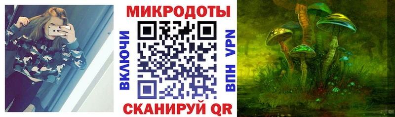 как найти закладки  Алзамай  Галлюциногенные грибы Psilocybe 